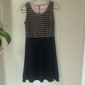 Bagley Mishaka Black Mini Dress with Gold Zipper